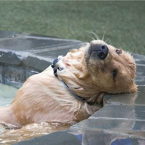 Phút giây nhớ về quá khứ. 10-anh-hai-hot-nhat-facebook-trong-ngay-1