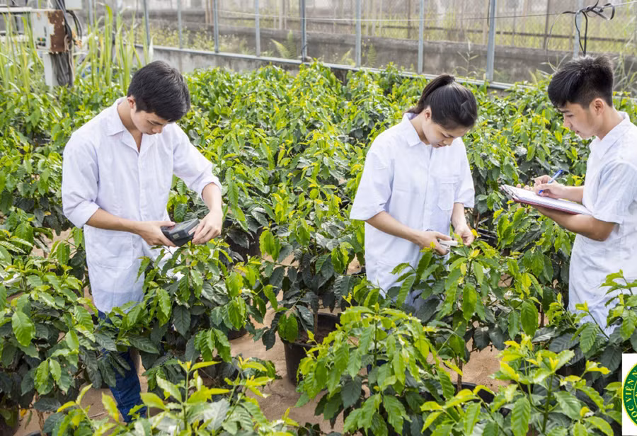 Sinh viên Học viện Nông nghiệp Việt Nam trong giờ thực hành. Ảnh: Học viện NNVN