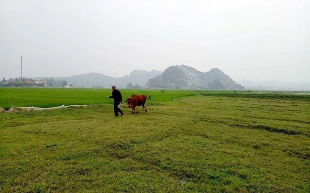 Xin lỗi, trả lại tiền... hòa cả làng?