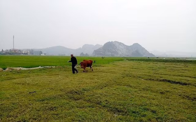 Xin lỗi, trả lại tiền... hòa cả làng?