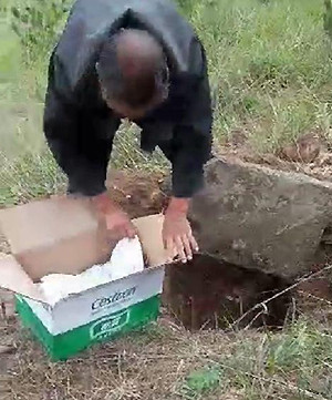 Ông Châu đưa lên hộp các tông, bên dưới là em bé đang khóc.Ảnh:readmeok.