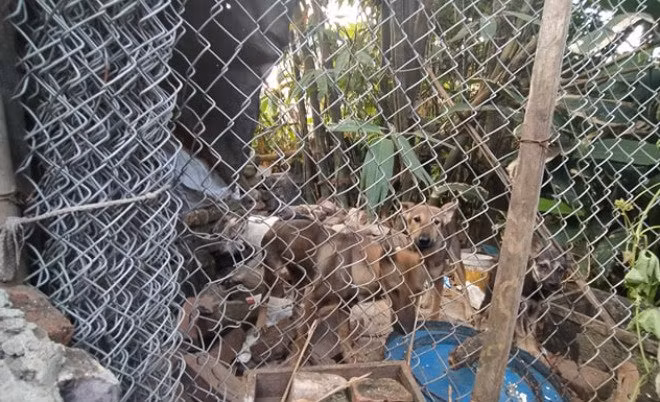 me cua chu re kem co dau 21 tuoi: “toi ban dan cho moi co tien cuoi vo cho con” - 4