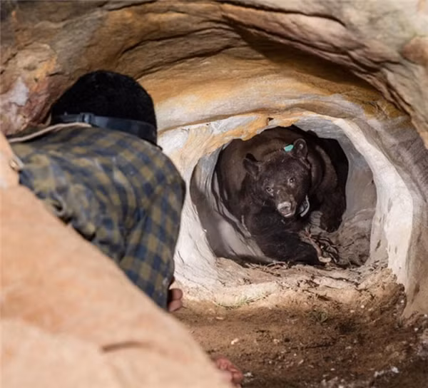 Liệu đây có phải là bức ảnh cuối cùng của cô gái này không nhỉ?