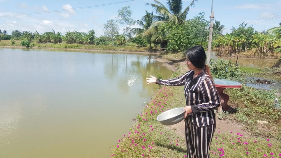 Chị Pa giúp cha cho tôm ăn. Ảnh: Trần Thanh Phong.