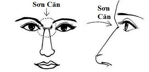 Vị trí sơn căn.