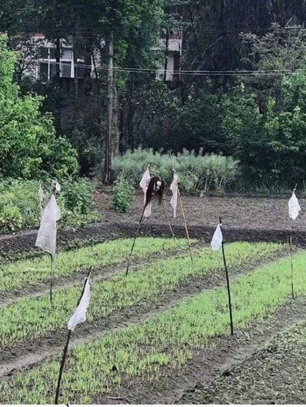 Khi trẻ được ở nhà một mình... ảnh 11 con blogtin (13)