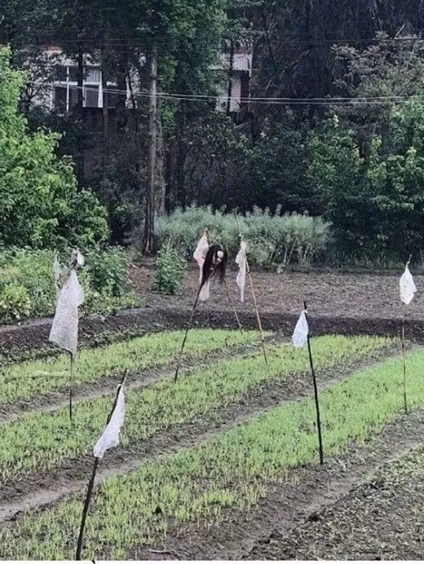 Khi trẻ được ở nhà một mình... ảnh 11 con blogtin (13)