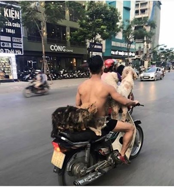 Khi trẻ được ở nhà một mình... ảnh 5 con blogtin (6)