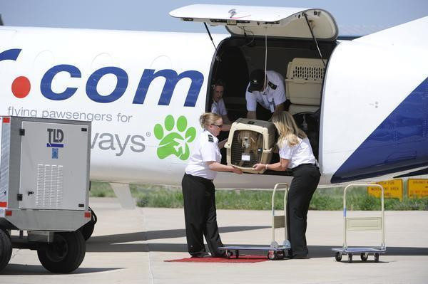 Các hãng hàng không "độc nhất vô nhị" trên thế giới ảnh 2 Cac hang hang khong