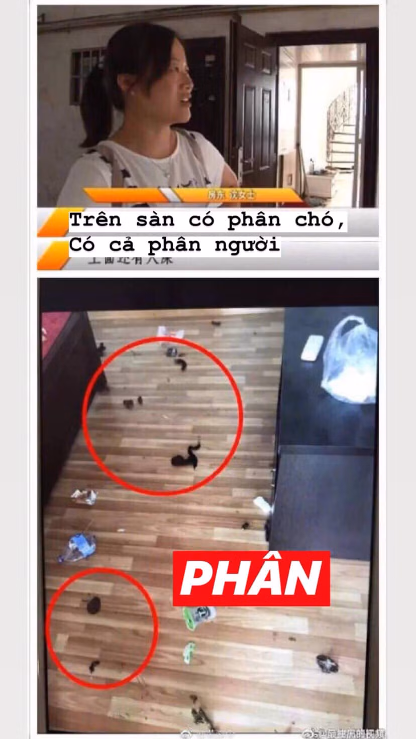 Chủ nhà ám ảnh không ăn nổi cơm sau khi bước vào căn phòng của hot girl: Bước vào toàn chất thải của chó và băng vệ sinh