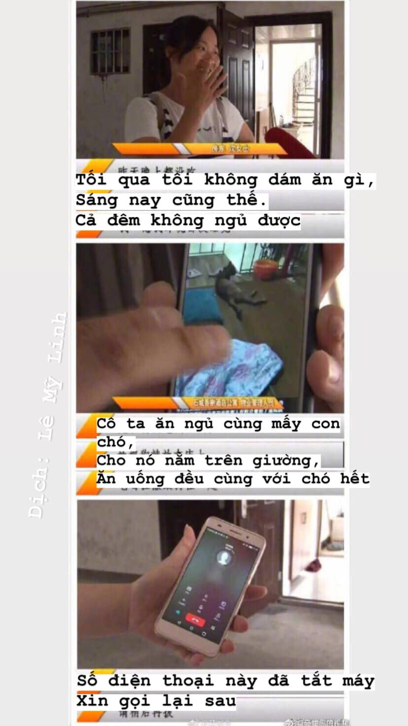 Chủ nhà ám ảnh không ăn nổi cơm sau khi bước vào căn phòng của hot girl: Bước vào toàn chất thải của chó và băng vệ sinh