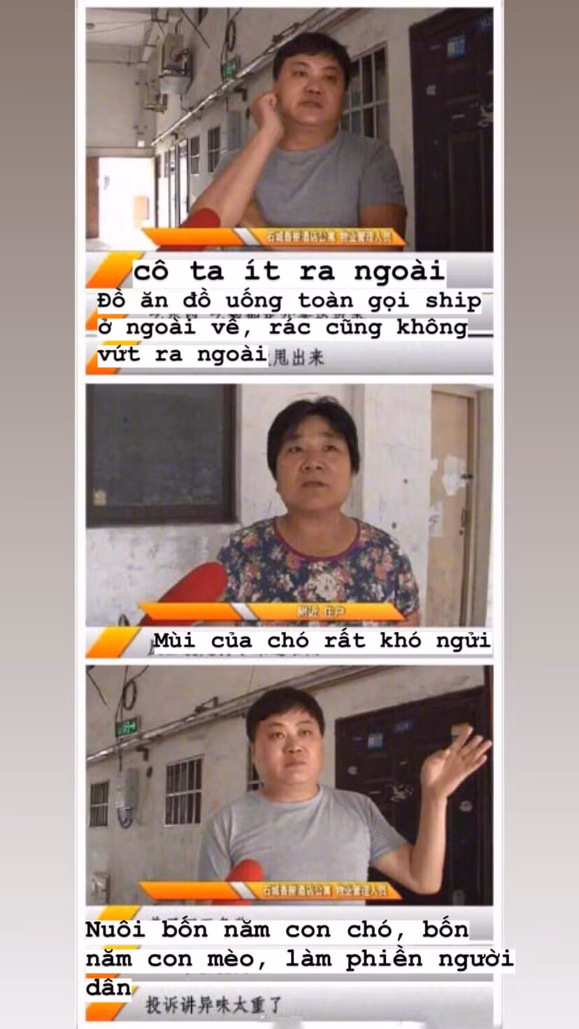 Chủ nhà ám ảnh không ăn nổi cơm sau khi bước vào căn phòng của hot girl: Bước vào toàn chất thải của chó và băng vệ sinh