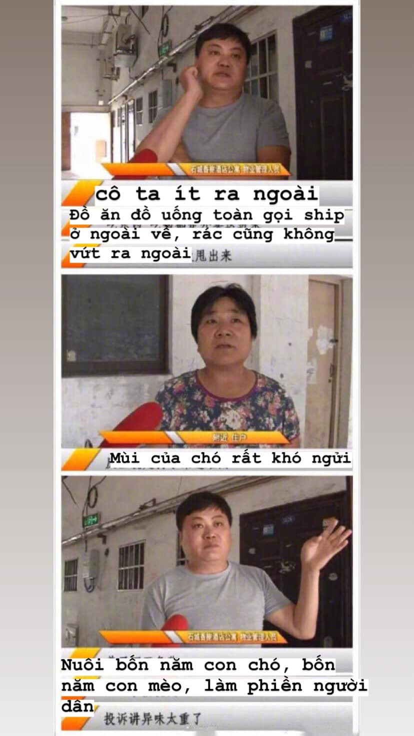 Chủ nhà ám ảnh không ăn nổi cơm sau khi bước vào căn phòng của hot girl: Bước vào toàn chất thải của chó và băng vệ sinh