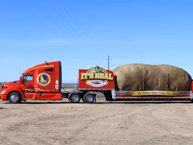 Trả 200 đôla để ngủ đêm trong củ khoai khổng lồ - 3