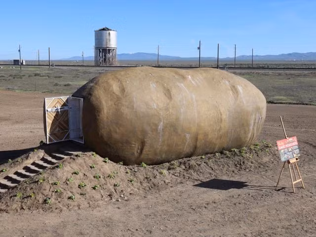 Trả 200 đôla để ngủ đêm trong củ khoai khổng lồ