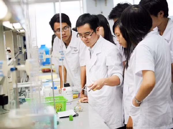 Ảnh minh họa Ảnh minh họa