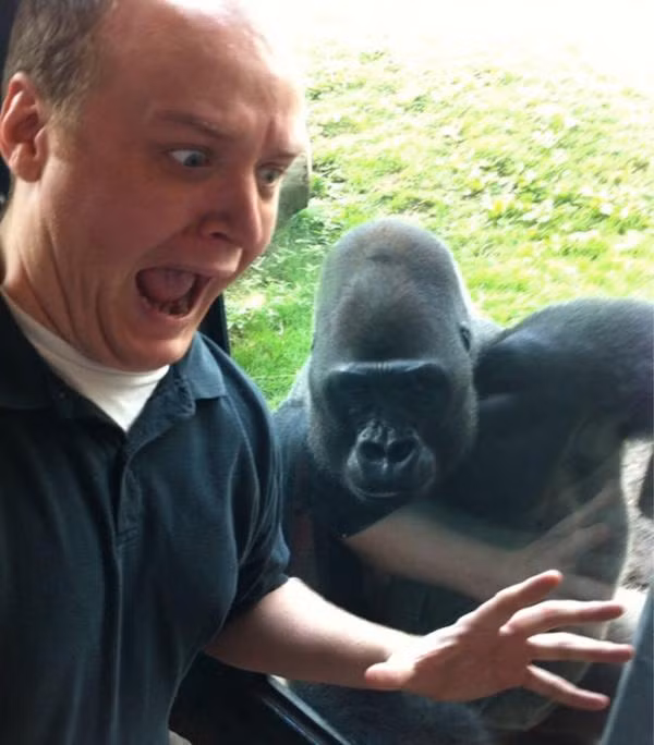 ‘Chết cười’ với những người nước ngoài hài hước ảnh 18