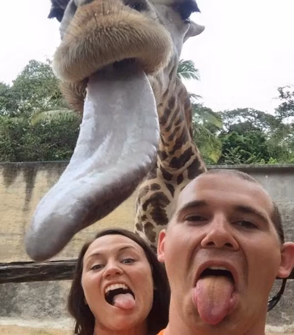 ‘Chết cười’ với những người nước ngoài hài hước ảnh 29