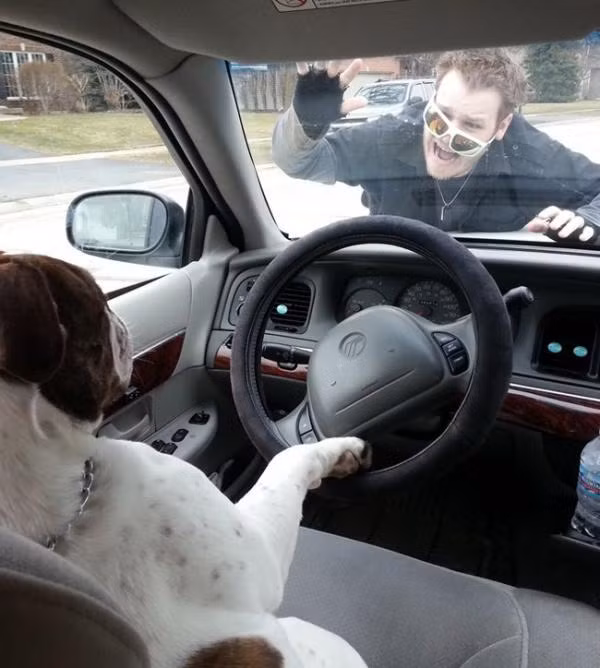 ‘Chết cười’ với những người nước ngoài hài hước ảnh 23