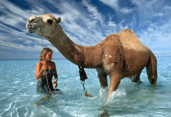 ‘Chết cười’ với những người nước ngoài hài hước ảnh 17