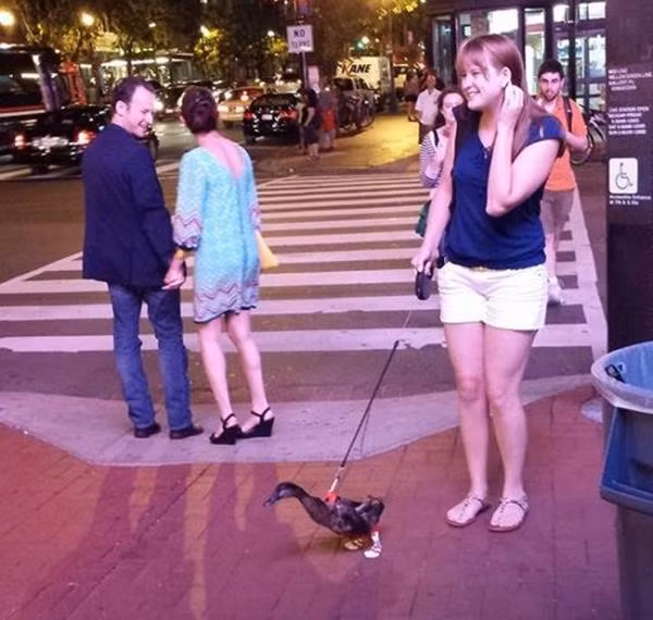 ‘Chết cười’ với những người nước ngoài hài hước ảnh 28