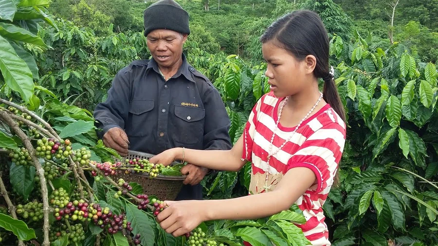 Phòng chống tác hại thuốc lá ở vùng đồng bào DTTS: Đề cao vai trò già làng trưởng bản