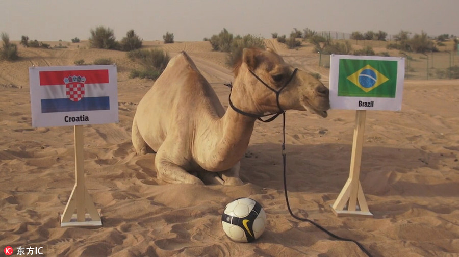 {title} tiên tri,dự đoán