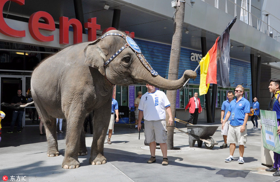 {title} tiên tri,dự đoán