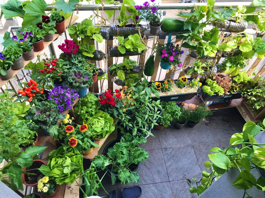 Muốn vườn sạch sẽ, lúc nào rảnh là phải lau dọn cẩn thận.