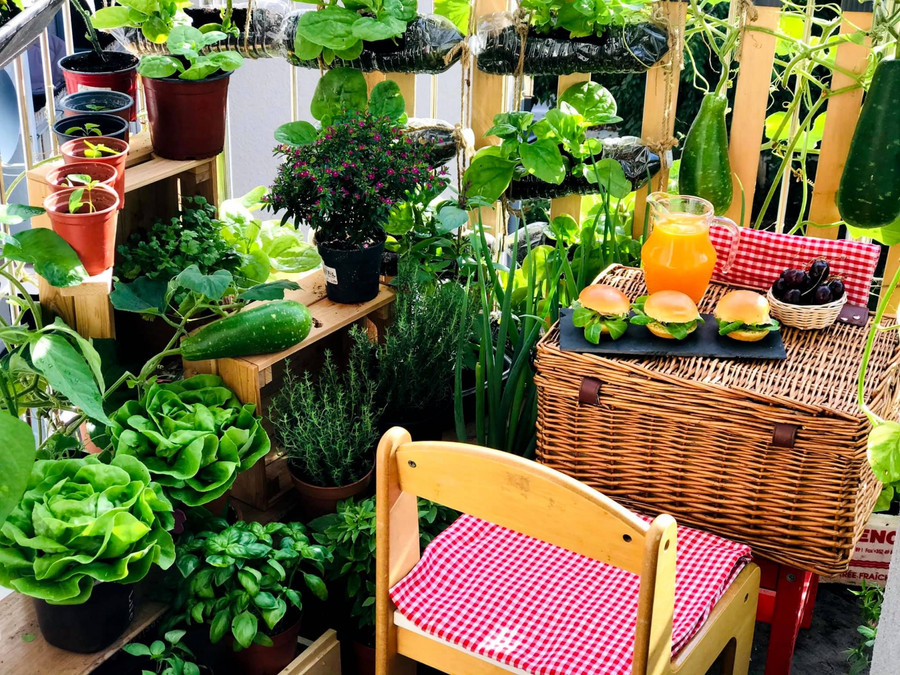 Mẹ đảm biến ban công 2,5m2 thành vườn rau xanh rì, ai nhìn cũng mê ảnh 2