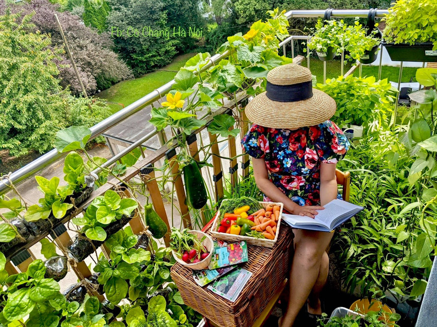 Mẹ đảm biến ban công 2,5m2 thành vườn rau xanh rì, ai nhìn cũng mê ảnh 1
