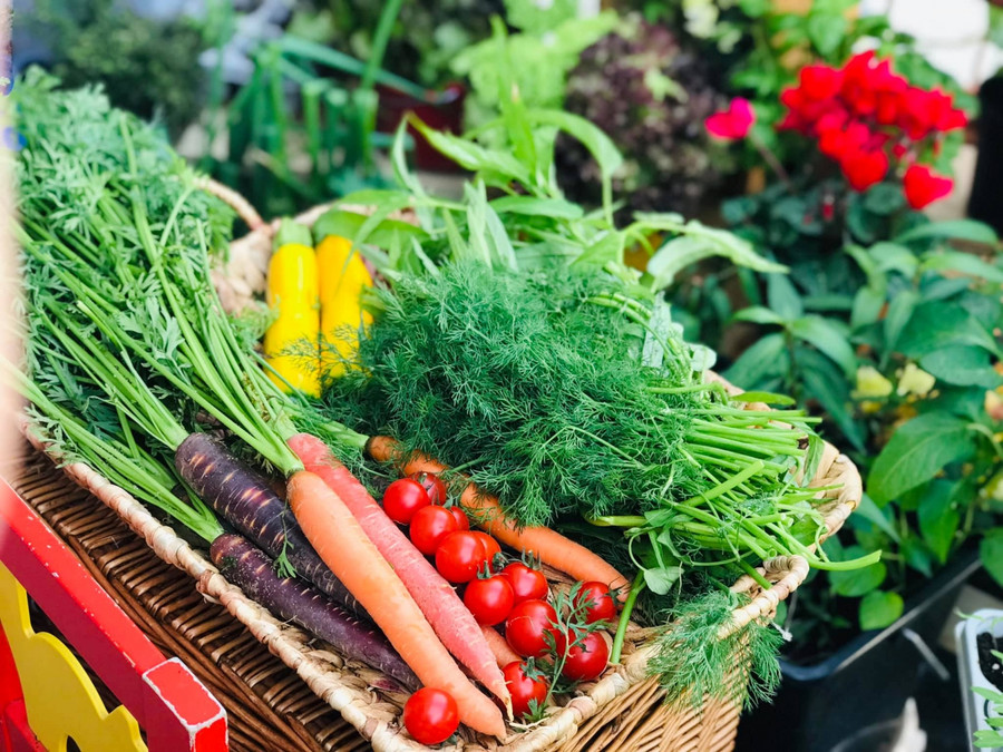 Thành quả sau 3 tháng.