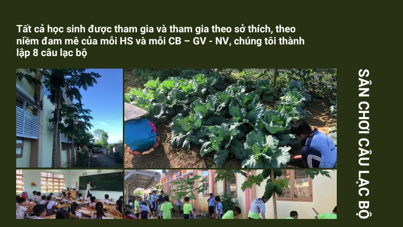 Hình ảnh các em học sinh cùng tham gia trải nghiệm tại không gian vườn sinh thái ngay tại trường. 