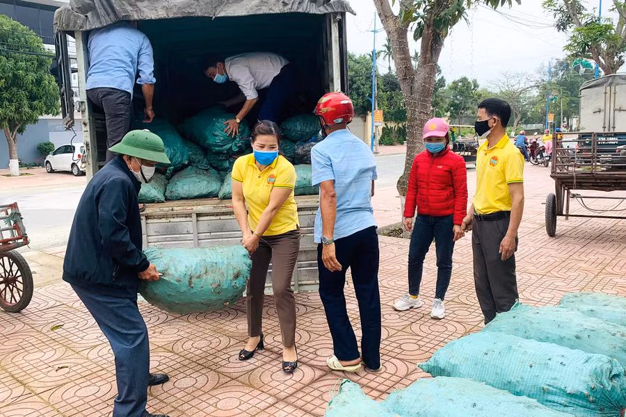 Hội Nông dân huyện Kỳ Sơn kêu gọi "giải cứu" gừng.