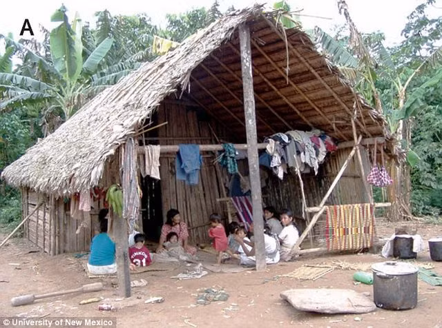 Người Tsimane ở Bolivia.