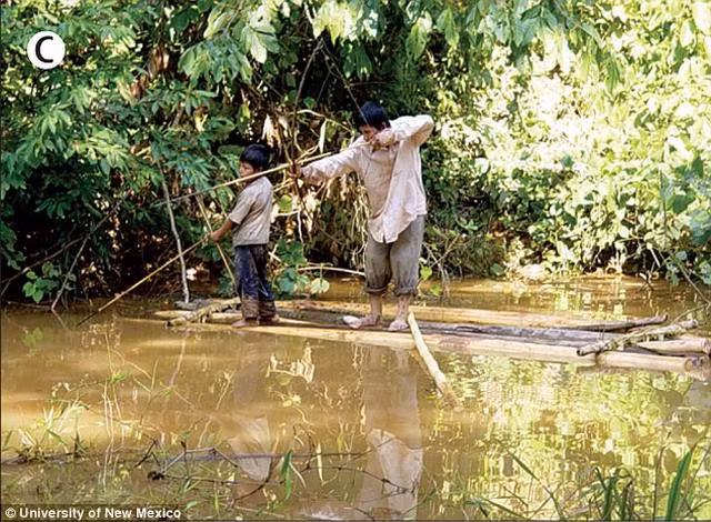 Nam giới Tsimane dành 6-7 tiếng một ngày để vận động.