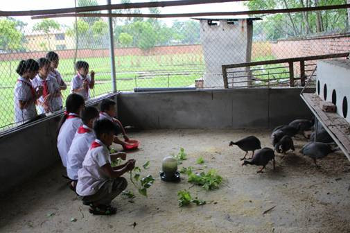 ... và nuôi gà sao” của HS Trường Tiểu học Cổ Tiết, huyện Tam Nông (Phú Thọ) ... và nuôi gà sao” của HS Trường Tiểu học Cổ Tiết, huyện Tam Nông (Phú Thọ)
