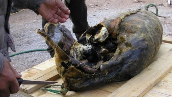 7 lễ hội Giáng sinh kỳ lạ nhất thế giới ảnh 6 Những lễ hội Giáng sinh kỳ lạ nhất thế giới