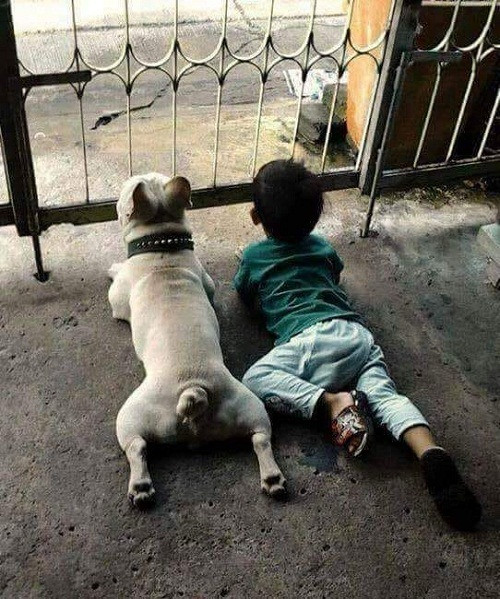 Chờ mẹ đi chợ về.