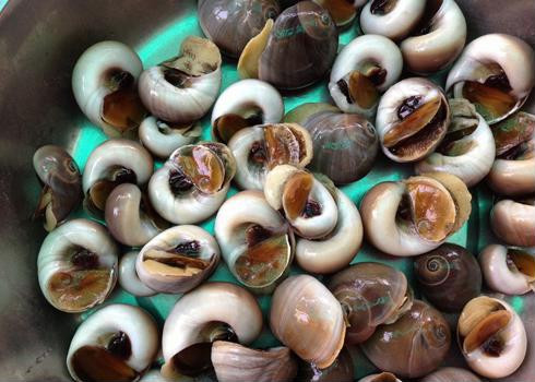 Mẹo chọn mua hải sản tươi ngon ảnh 3