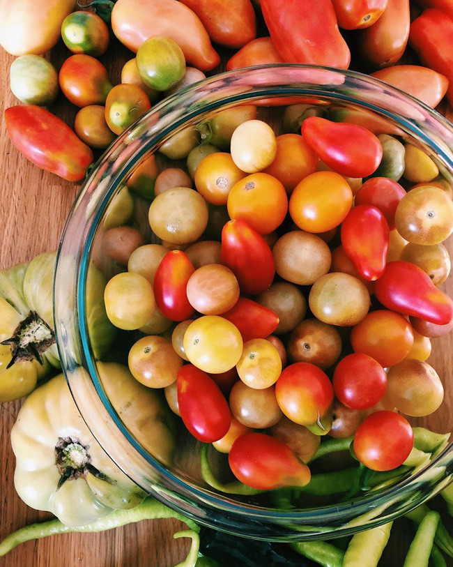 Ngắm khu vườn đẹp như tranh vẽ của cô gái hai mươi có niềm đam mê trồng trọt - Ảnh 6. Ngắm khu vườn đẹp như tranh vẽ của cô gái hai mươi có niềm đam mê trồng trọt - Ảnh 6.