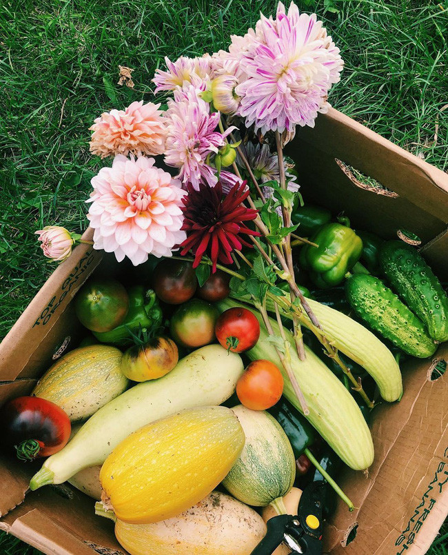 Ngắm khu vườn đẹp như tranh vẽ của cô gái hai mươi có niềm đam mê trồng trọt - Ảnh 3. Ngắm khu vườn đẹp như tranh vẽ của cô gái hai mươi có niềm đam mê trồng trọt - Ảnh 3.