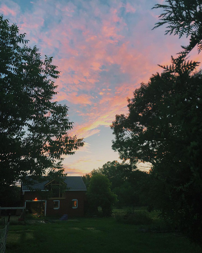 Ngắm khu vườn đẹp như tranh vẽ của cô gái hai mươi có niềm đam mê trồng trọt - Ảnh 1. Ngắm khu vườn đẹp như tranh vẽ của cô gái hai mươi có niềm đam mê trồng trọt - Ảnh 1.