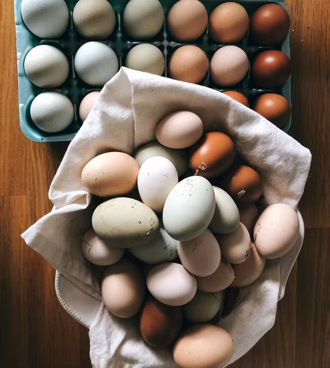 Ngắm khu vườn đẹp như tranh vẽ của cô gái hai mươi có niềm đam mê trồng trọt - Ảnh 14.