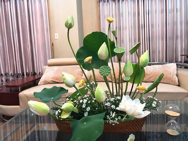 Thả 2 viên này vào bình hoa sen, chơi cả tuần không hỏng ảnh 1 Thả 2 viên này vào bình hoa sen, chơi cả tuần không hỏng ảnh 1