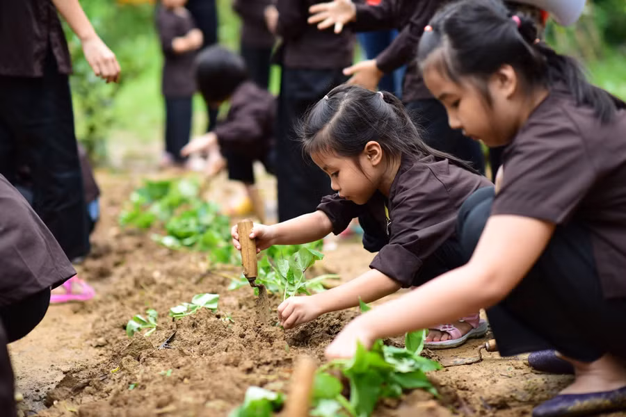 Muôn màu mùa hè: Chớ đặt quá nhiều kỳ vọng