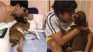 Loạt ảnh chứng minh: Kẻ cướp chồng không ở đâu xa mà chính ngay bên cạnh....