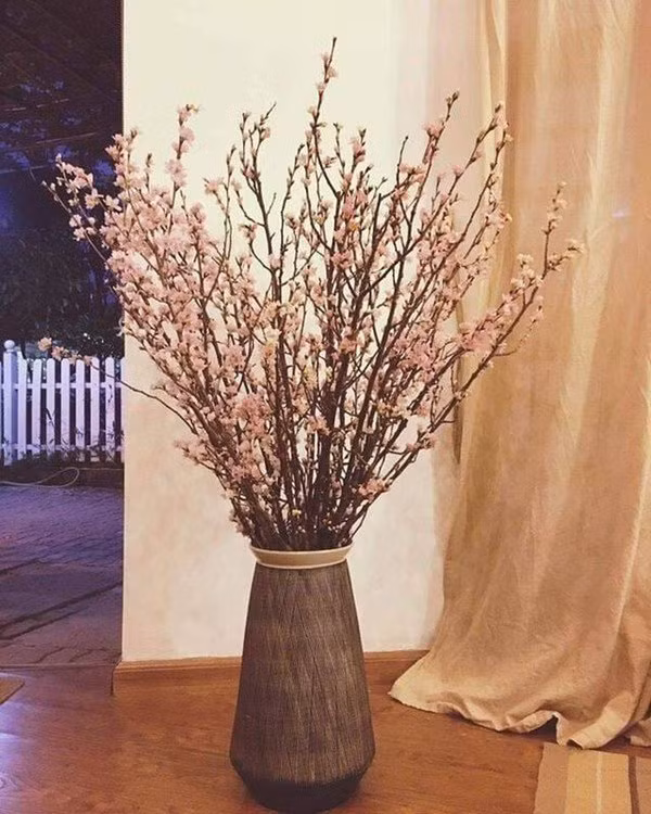 nhung loai hoa danh thuc tai loc, sang dat ban tho than tai chieu gap may - 1