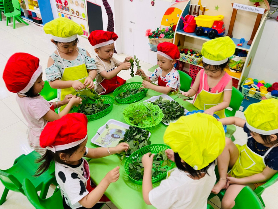Trẻ tại Trường Mầm non Hoa Sen tập tuốt rau ngót tại lớp.
