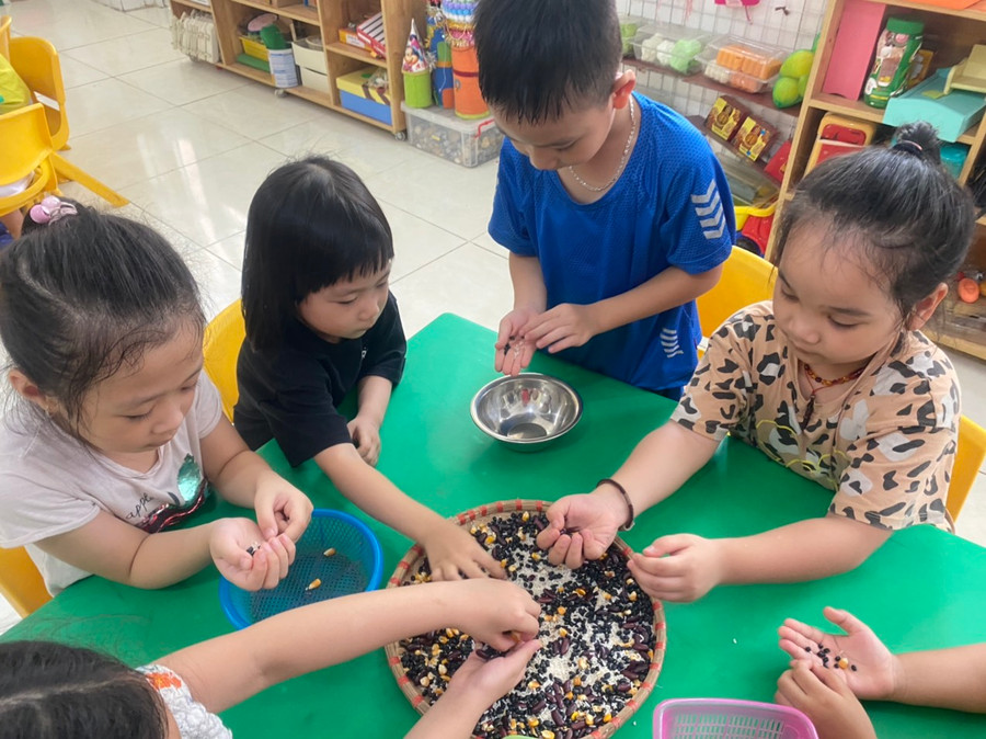 Trẻ thực hành phân loại hạt dưới sự hướng dẫn của cô giáo.